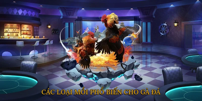 Các loại mồi phổ biến cho gà đá