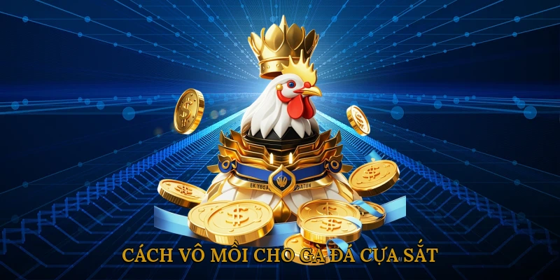 Cách vô mồi cho gà đá cựa sắt